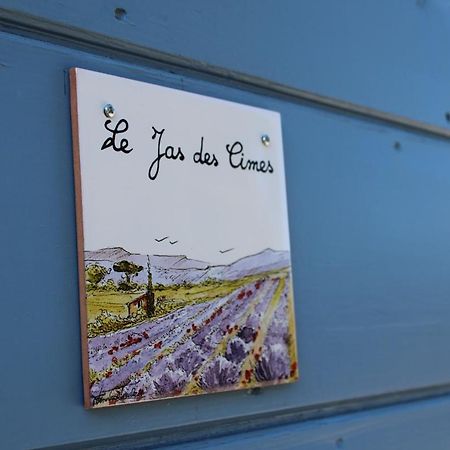Le Jas Des Cimes, Maison De Hauts Vols Mison エクステリア 写真